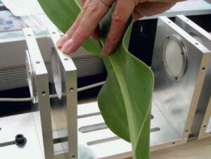 Versuchsaufbau zur THz-Messung des Wasserhalts an Pflanzenblättern